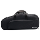 Saxofone Harmonics EB HAS-200L Alto Laqueado